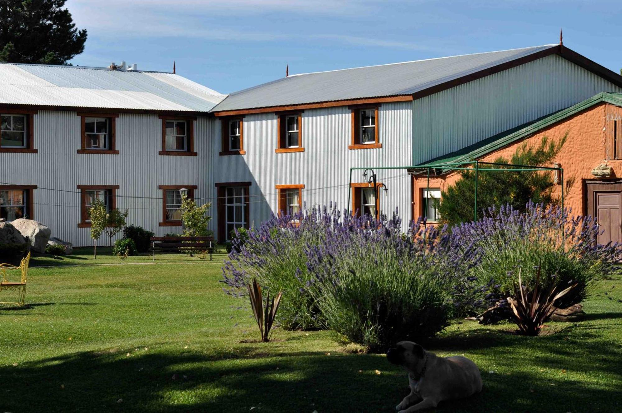 "La Loma" - Vieja Casona Aparthotel เอลกาลาฟาเต ภายนอก รูปภาพ